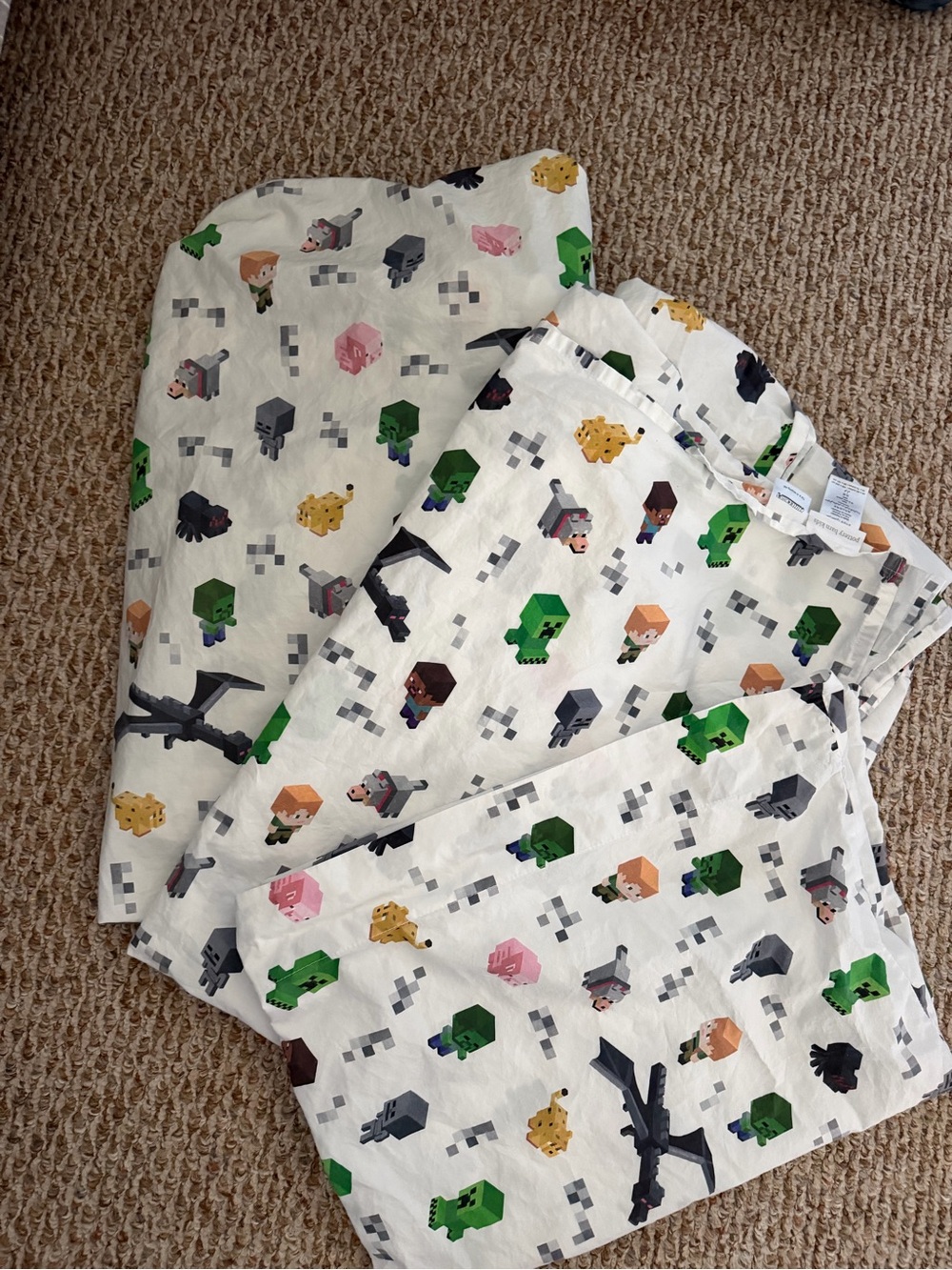 EUC Pottery Barn Kids Minecraft Organic Sheet Set Twin - Picture 2 of 9